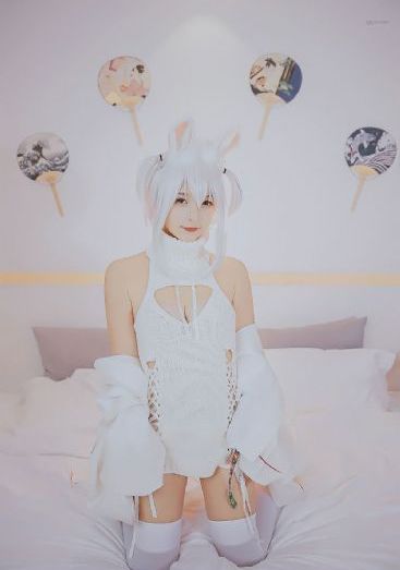 珠帘玉幕电视剧免费观看