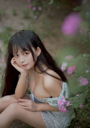 屠夫电影在线完整版播放