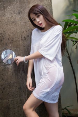 航海王动漫