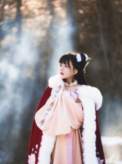 烽影燃梅香