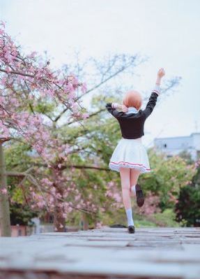 王丽霞第6部1一30章全文免费阅读