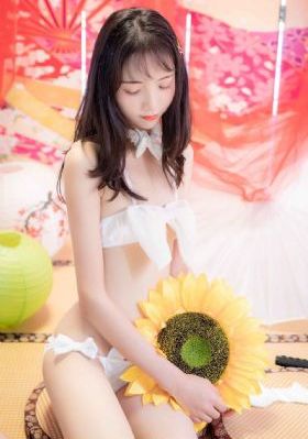 向日葵视频色板
